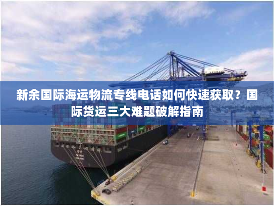 新余国际海运物流专线电话如何快速获取？国际货运三大难题破解指南