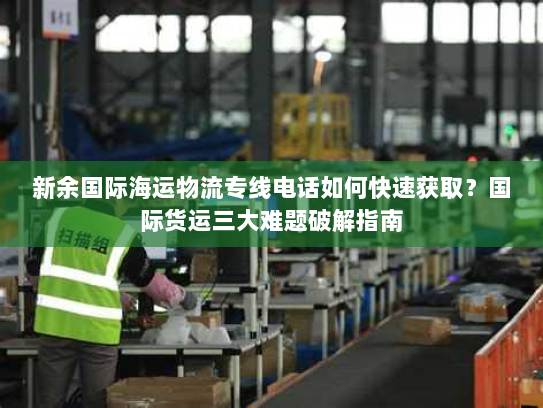 新余国际海运物流专线电话如何快速获取？国际货运三大难题破解指南