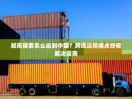 越南猪要怎么运到中国？跨境运输痛点终极解决指南