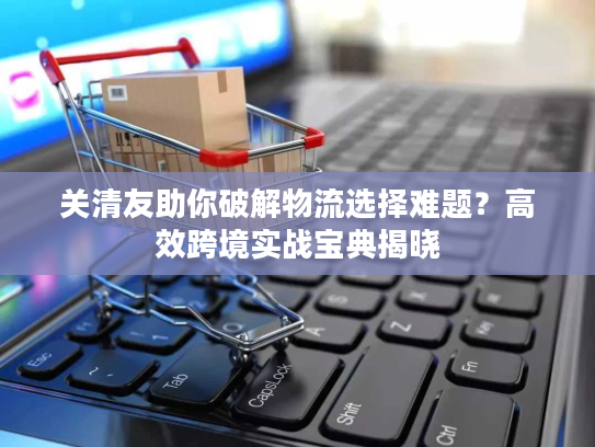关清友助你破解物流选择难题？高效跨境实战宝典揭晓