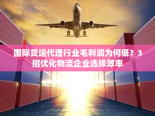 国际货运代理行业毛利润为何低？3招优化物流企业选择效率
