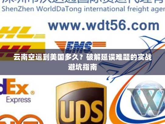 云南空运到美国多久？破解延误难题的实战避坑指南