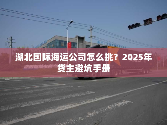湖北国际海运公司怎么挑？2025年货主避坑手册