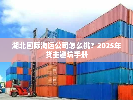 湖北国际海运公司怎么挑？2025年货主避坑手册