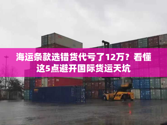 海运条款选错货代亏了12万？看懂这5点避开国际货运天坑