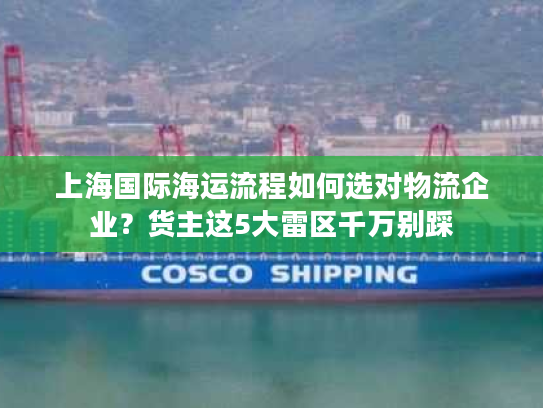 上海国际海运流程如何选对物流企业？货主这5大雷区千万别踩