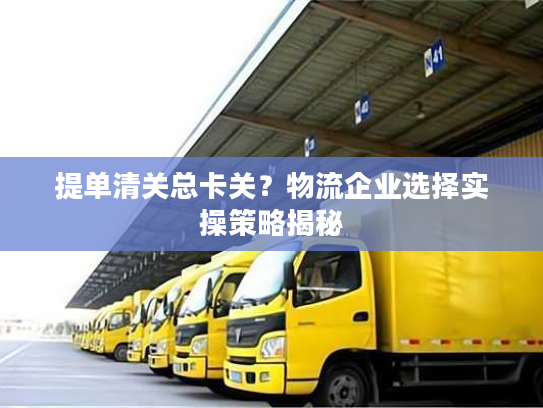 提单清关总卡关？物流企业选择实操策略揭秘