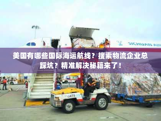 美国有哪些国际海运航线？搜索物流企业总踩坑？精准解决秘籍来了！
