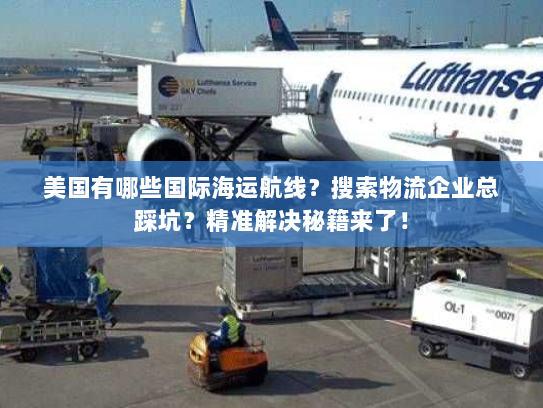 美国有哪些国际海运航线?搜索物流企业总踩坑?精准解决秘籍来了! 美国有哪些国际海运航线?搜索物流企业总踩坑?精准解决秘籍来了!