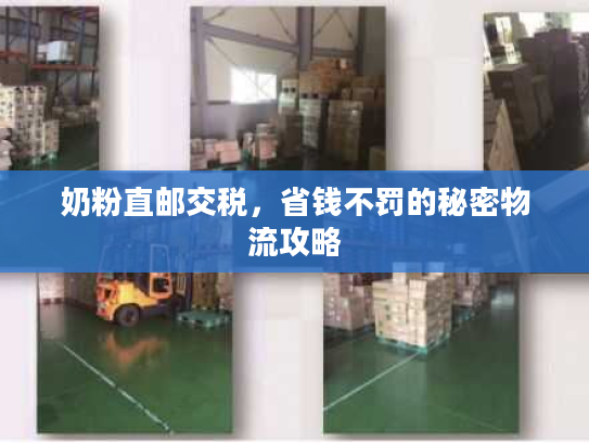 奶粉直邮交税，省钱不罚的秘密物流攻略