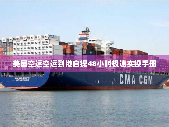 美国空运空运到港自提48小时极速实操手册