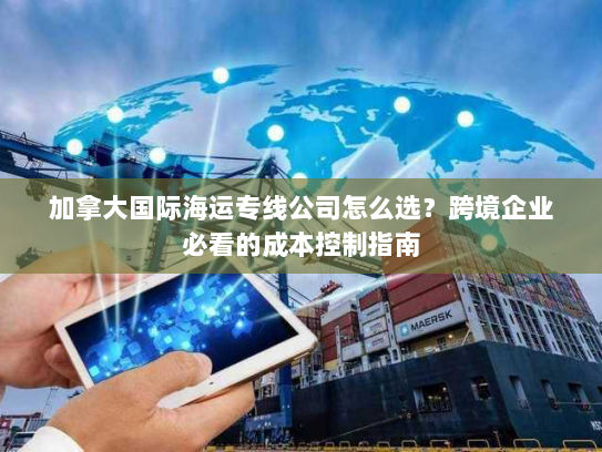 加拿大国际海运专线公司怎么选？跨境企业必看的成本控制指南
