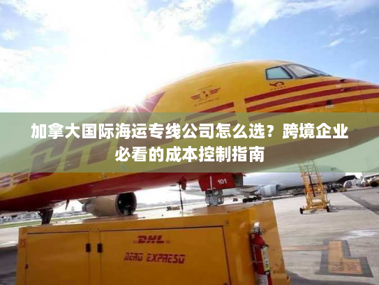 加拿大国际海运专线公司怎么选？跨境企业必看的成本控制指南