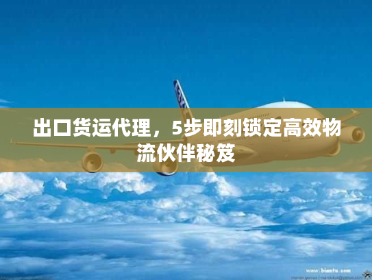 出口货运代理,5步即刻锁定高效物流伙伴秘笈 出口货运代理,5步即刻锁定高效物流伙伴秘笈