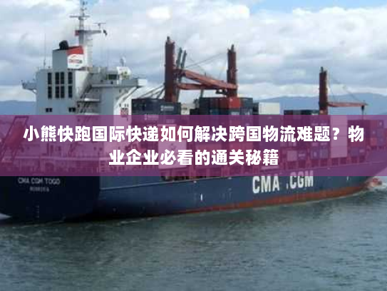 小熊快跑国际快递如何解决跨国物流难题?物业企业必看的通关秘籍 小熊快跑国际快递如何解决跨国物流难题?物业企业必看的通关秘籍