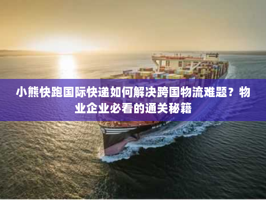 小熊快跑国际快递如何解决跨国物流难题?物业企业必看的通关秘籍 小熊快跑国际快递如何解决跨国物流难题?物业企业必看的通关秘籍