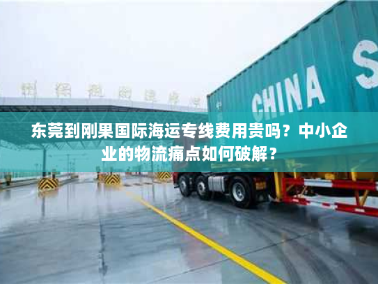 东莞到刚果国际海运专线费用贵吗?中小企业的物流痛点如何破解? 东莞到刚果国际海运专线费用贵吗?中小企业的物流痛点如何破解?