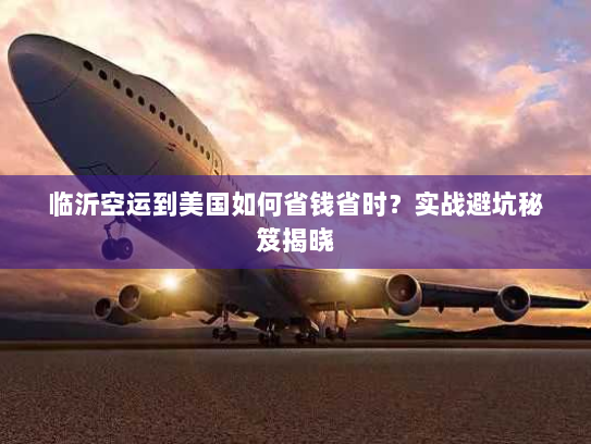 临沂空运到美国如何省钱省时？实战避坑秘笈揭晓