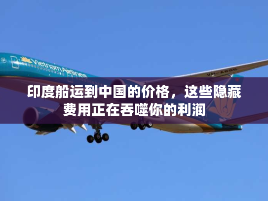 印度船运到中国的价格，这些隐藏费用正在吞噬你的利润