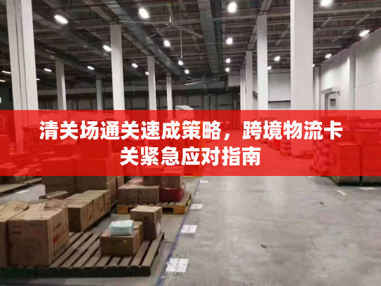 清关场通关速成策略,跨境物流卡关紧急应对指南 清关场通关速成策略,跨境物流卡关紧急应对指南
