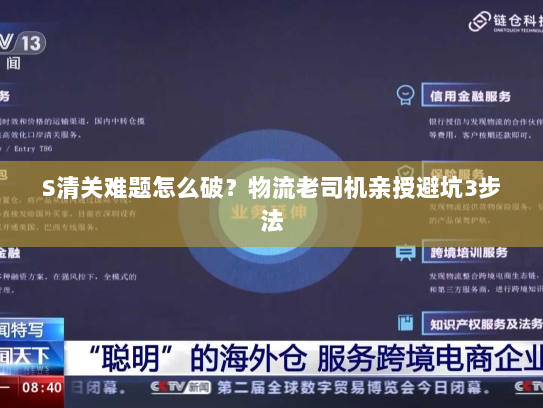 S清关难题怎么破？物流老司机亲授避坑3步法