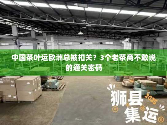中国茶叶运欧洲总被扣关？3个老茶商不敢说的通关密码