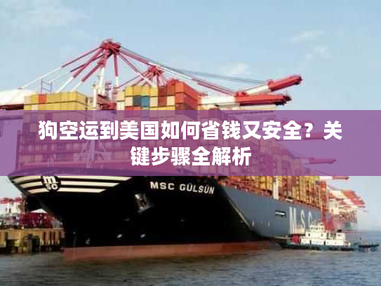 狗空运到美国如何省钱又安全？关键步骤全解析