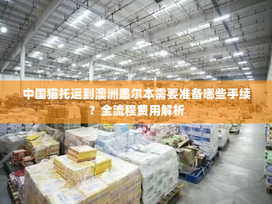 中国猫托运到澳洲墨尔本需要准备哪些手续？全流程费用解析