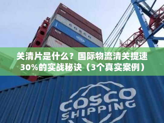 关清片是什么？国际物流清关提速30%的实战秘诀（3个真实案例）