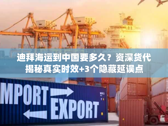 迪拜海运到中国要多久？资深货代揭秘真实时效+3个隐藏延误点