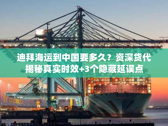 迪拜海运到中国要多久？资深货代揭秘真实时效+3个隐藏延误点