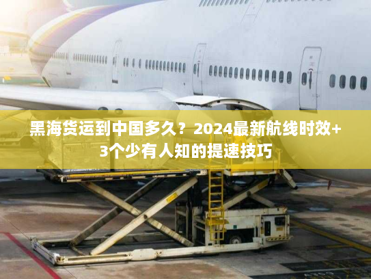 黑海货运到中国多久?2024最新航线时效+3个少有人知的提速技巧 黑海货运到中国多久?2024最新航线时效+3个少有人知的提速技巧