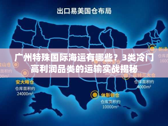 广州特殊国际海运有哪些？3类冷门高利润品类的运输实战揭秘