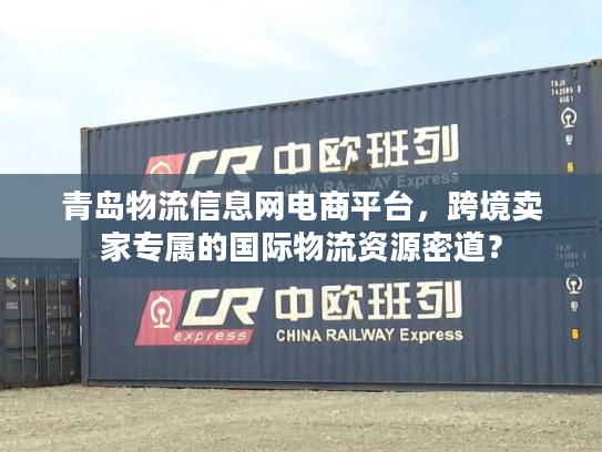 青岛物流信息网电商平台，跨境卖家专属的国际物流资源密道？