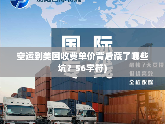 空运到美国收费单价背后藏了哪些坑？56字符)