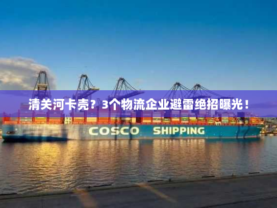 清关河卡壳？3个物流企业避雷绝招曝光！