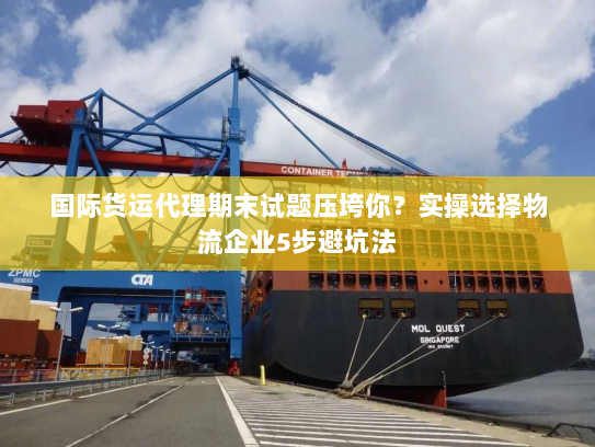 国际货运代理期末试题压垮你?实操选择物流企业5步避坑法 国际货运代理期末试题压垮你?实操选择物流企业5步避坑法