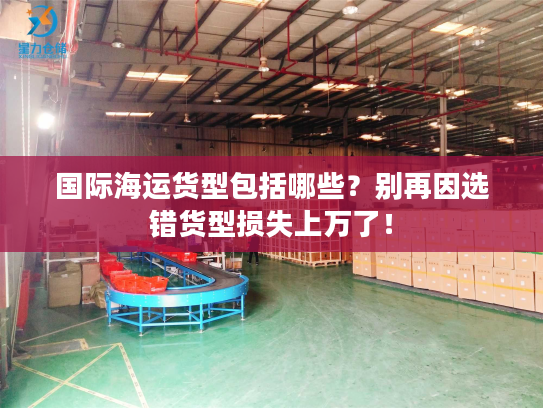 国际海运货型包括哪些？别再因选错货型损失上万了！