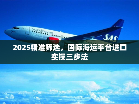 2025精准筛选，国际海运平台进口实操三步法