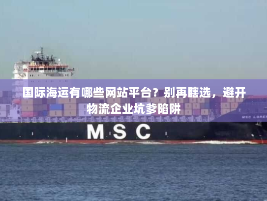 国际海运有哪些网站平台？别再瞎选，避开物流企业坑爹陷阱