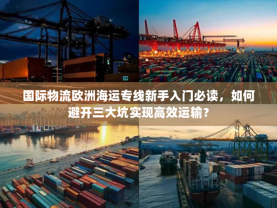 国际物流欧洲海运专线新手入门必读，如何避开三大坑实现高效运输？
