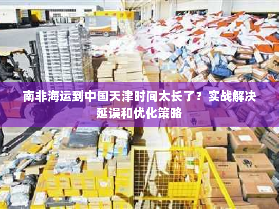 南非海运到中国天津时间太长了？实战解决延误和优化策略