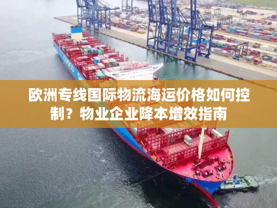欧洲专线国际物流海运价格如何控制？物业企业降本增效指南