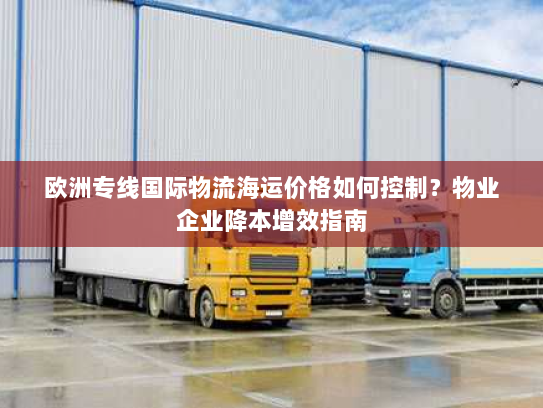 欧洲专线国际物流海运价格如何控制？物业企业降本增效指南