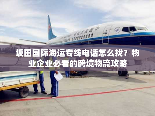 坂田国际海运专线电话怎么找？物业企业必看的跨境物流攻略