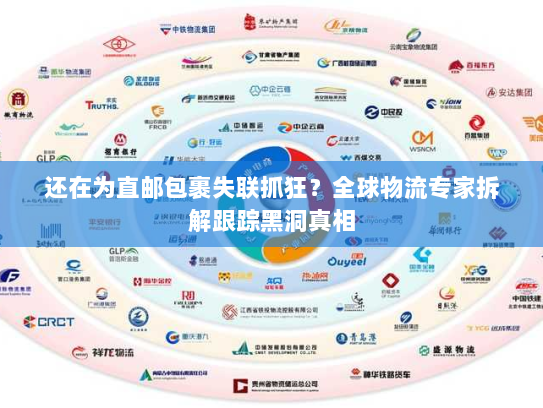 还在为直邮包裹失联抓狂?全球物流专家拆解跟踪黑洞真相 还在为直邮包裹失联抓狂?全球物流专家拆解跟踪黑洞真相