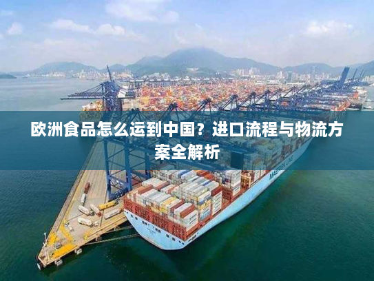欧洲食品怎么运到中国？进口流程与物流方案全解析