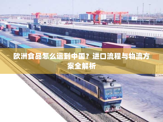 欧洲食品怎么运到中国？进口流程与物流方案全解析