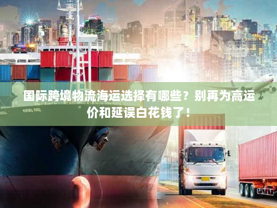 国际跨境物流海运选择有哪些？别再为高运价和延误白花钱了！