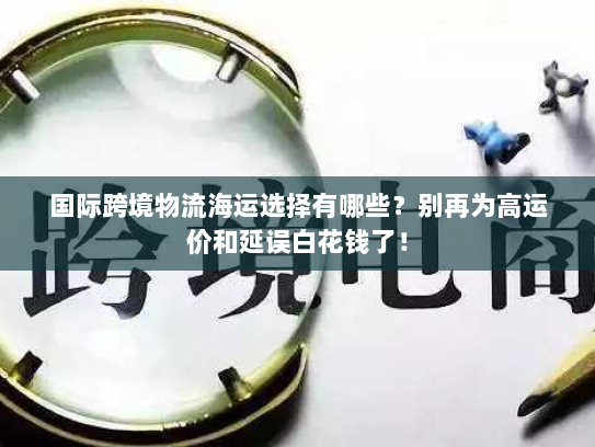 国际跨境物流海运选择有哪些？别再为高运价和延误白花钱了！